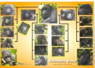 Kwitonda-195x141-5a0a113a29caa